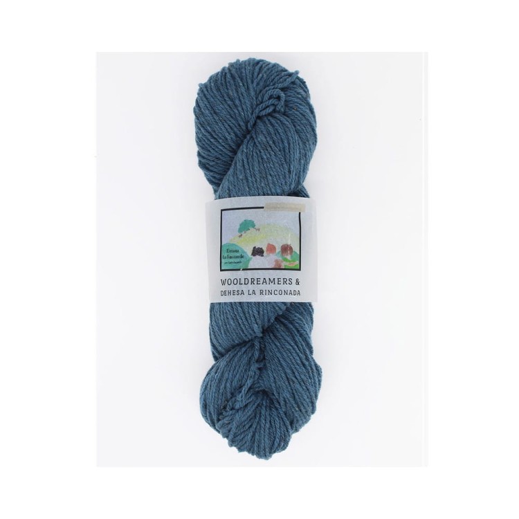 Włóczka La Rinconada Azul Niebla (WoolDreamers) spr