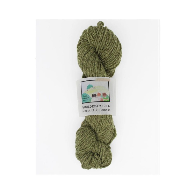 Włóczka La Rinconada Verde Granito (WoolDreamers) spr