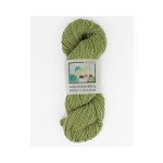 Włóczka La Rinconada Verde Blanco (WoolDreamers) spr