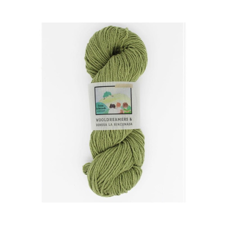 Włóczka La Rinconada Verde Blanco (WoolDreamers) spr
