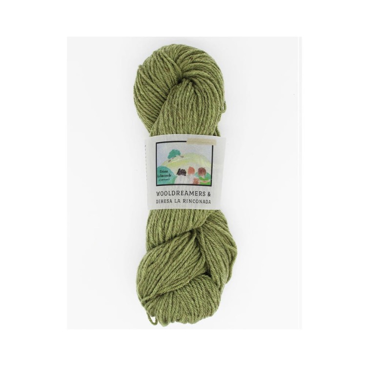 Włóczka La Rinconada Verde Niebla (WoolDreamers)