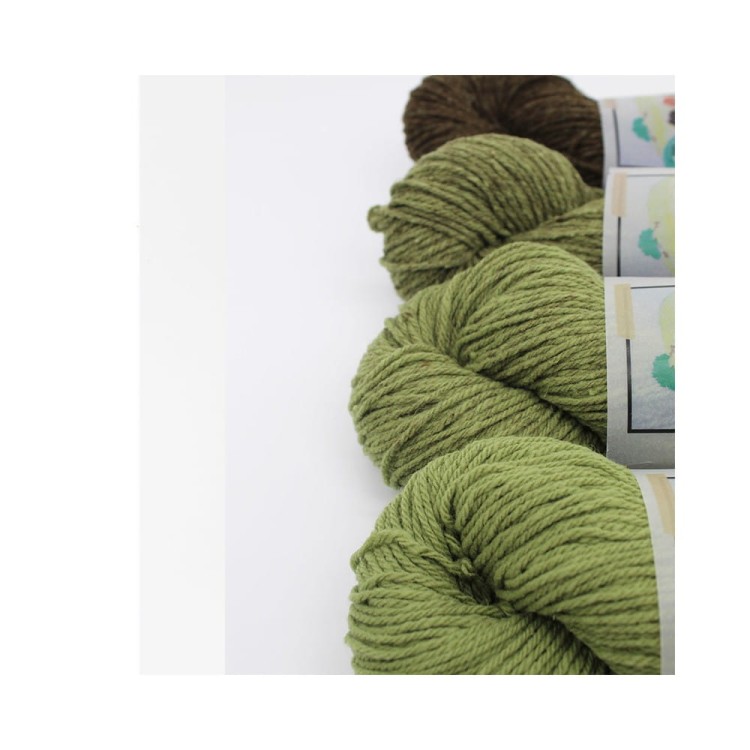 Włóczka La Rinconada Verde Tierra (WoolDreamers) spr