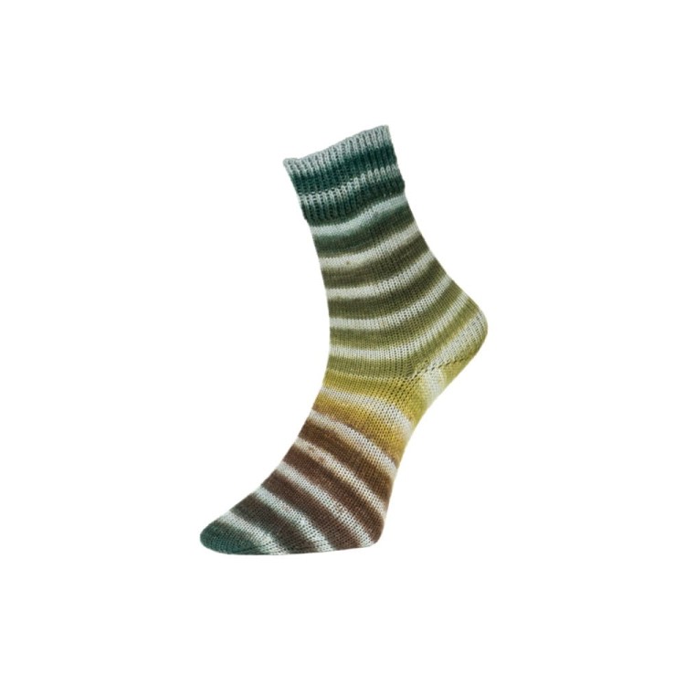 Włóczka Paint Sock 206 (Pro Lana)