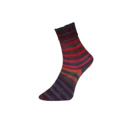 Włóczka Paint Sock 204 (Pro Lana)