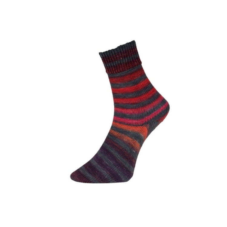Włóczka Paint Sock 204 (Pro Lana)