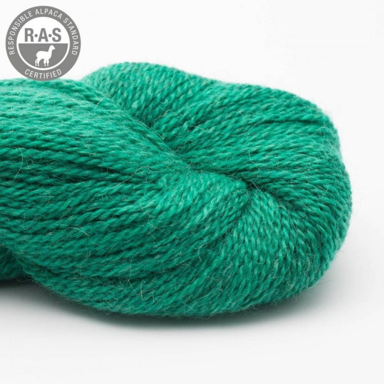 Włóczka Babyalpaca 10/2 RAS 58 (BC GARN)
