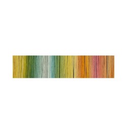 Włóczka Reggae Ombre 2594 (Schoppel)