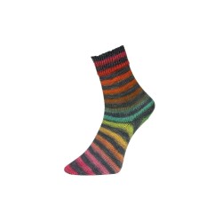 Włóczka Paint Sock 203 (Pro Lana)