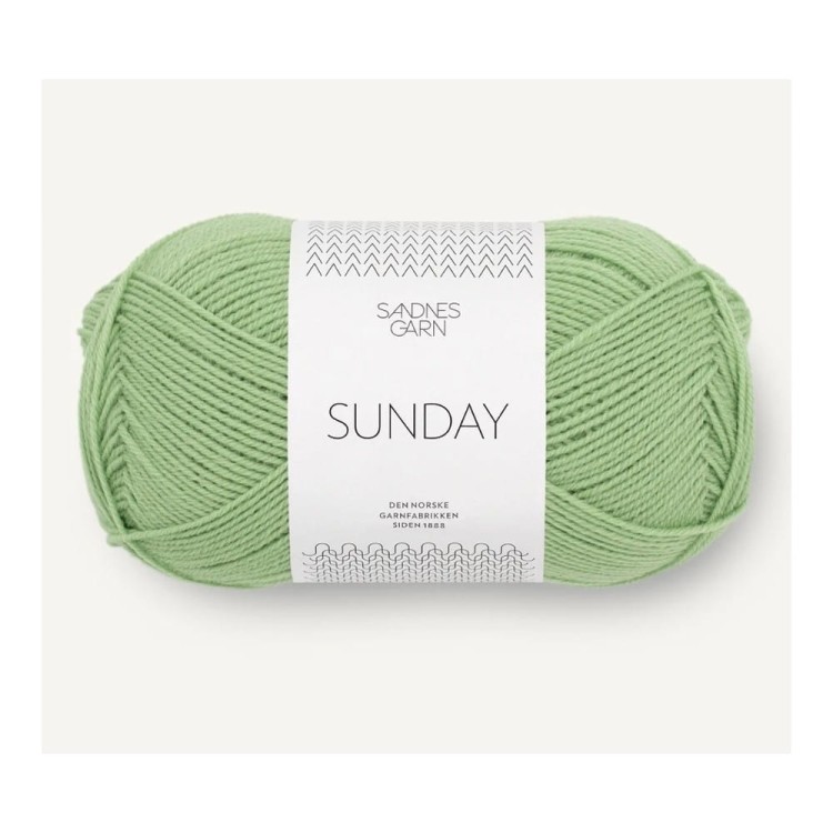 Włóczka Sunday 8733 (Sandnes Garn)