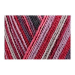 Włóczka Regia 4 ply 2736 100g (Schachenmayr)
