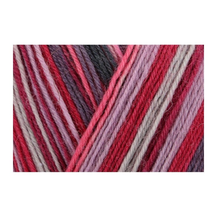 Włóczka Regia 4 ply 2736 100g (Schachenmayr)