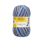 Włóczka Regia 4 ply 2737 100g (Schachenmayr)