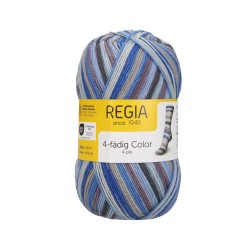 Włóczka Regia 4 ply 2737 100g (Schachenmayr)