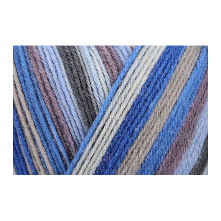 Włóczka Regia 4 ply 2737 100g (Schachenmayr)
