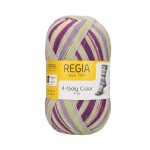 Włóczka Regia 4 ply 2738 100g (Schachenmayr)