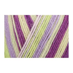 Włóczka Regia 4 ply 2738 100g (Schachenmayr)