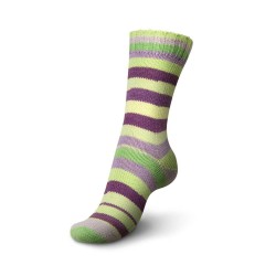 Włóczka Regia 4 ply 2738 100g (Schachenmayr)