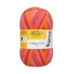 Włóczka Regia 4 ply 2739 100g (Schachenmayr)
