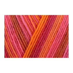 Włóczka Regia 4 ply 2739 100g (Schachenmayr)