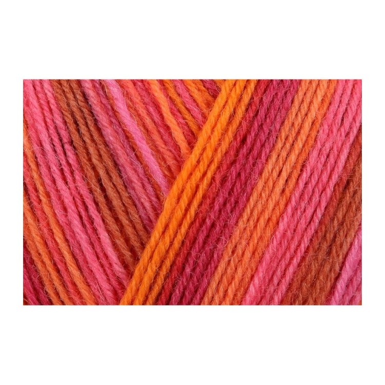 Włóczka Regia 4 ply 2739 100g (Schachenmayr)