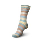 Włóczka Regia 4 ply 2740 100g (Schachenmayr)