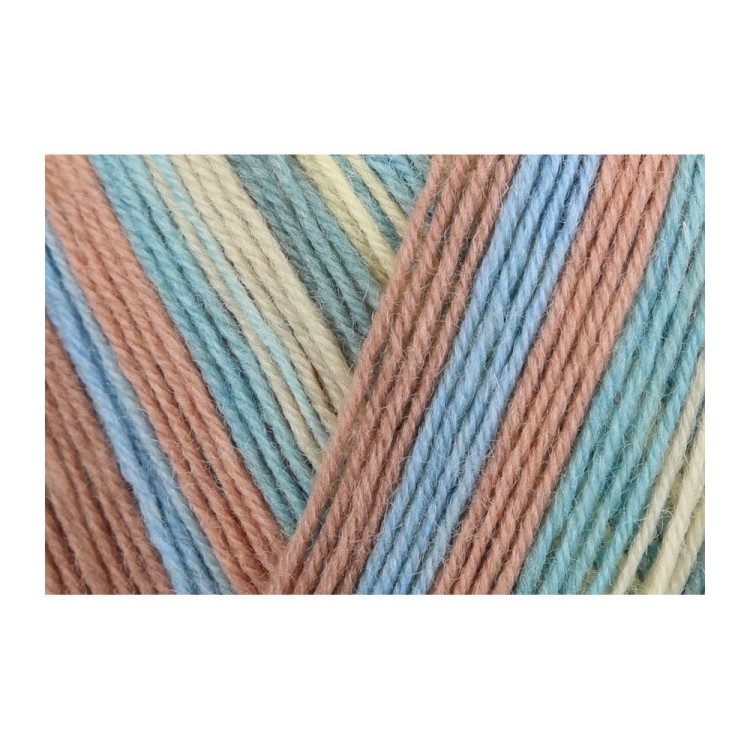 Włóczka Regia 4 ply 2740 100g (Schachenmayr)