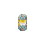 Włóczka Regia 4 ply 2735 100g (Schachenmayr)