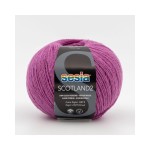 Włóczka Scotland2 1976 (Sesia)