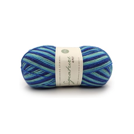 Przejdź do produktu Signature 4ply Cocktails Yarn 831 Blue Lagoon (West Yorkshire Spinners)