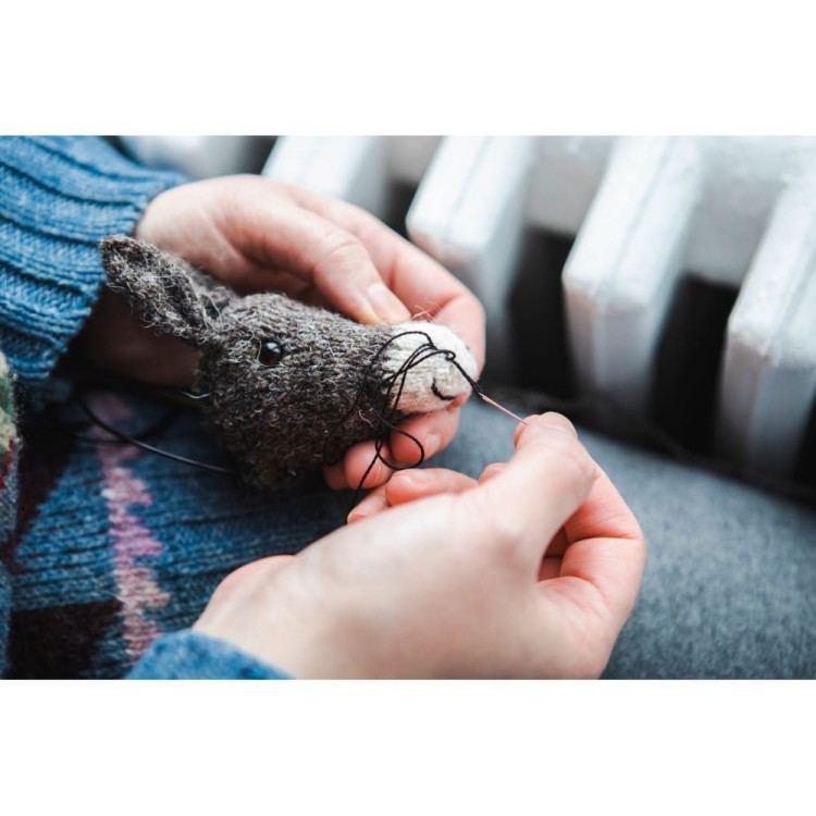 Książka Mouche &amp; Friends, Cinthia Vallet (Laine Publishing)