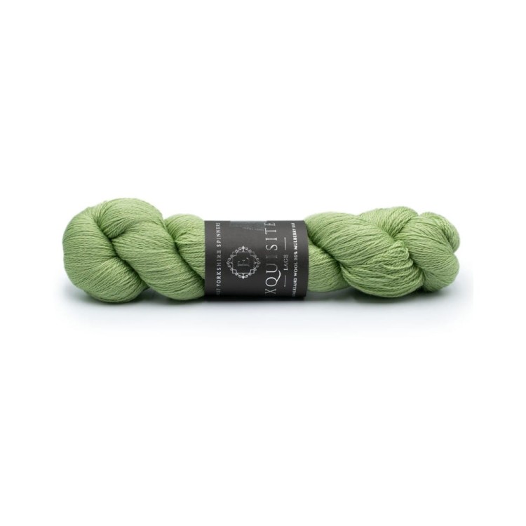 Włóczka Exquisite Lace 1127 Eucaliptus (West Yorkshire Spinners)