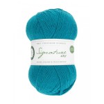 Włóczka Signature 4ply 0365 Blueberry Bonbon (West Yorkshire Spinneers)