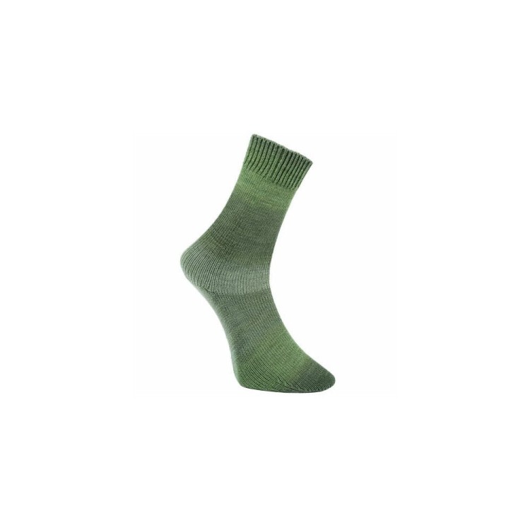 Włóczka Golden Socks Susten Stretch 09 (Pro Lana)