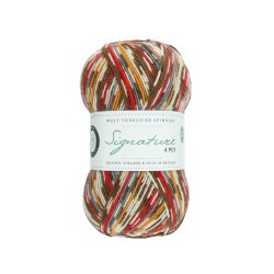 Signature 4ply Robin 941 (West Yorkshire Spinners)