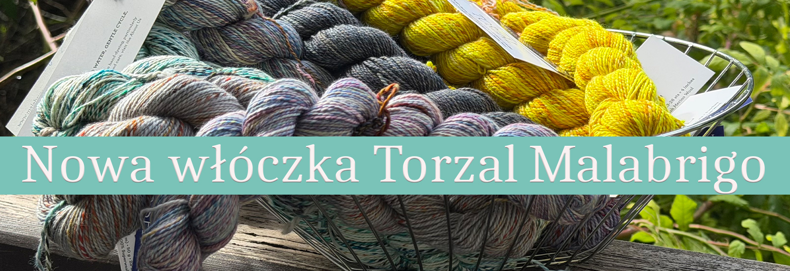 Wełna merino Torzal Malabrigo